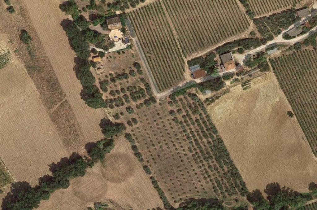 Vista dal satellite dell'uliveto Satellite View